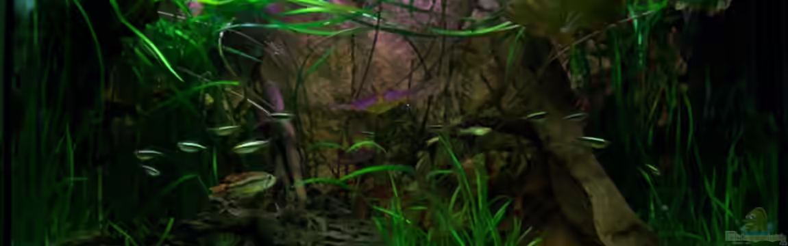 112l Südamerika von Tom Rudolph