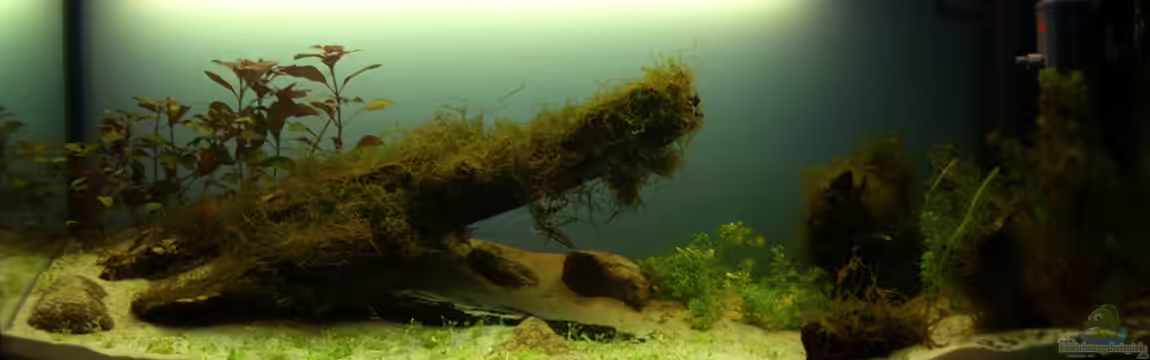 120x40x50 von Sebastian..