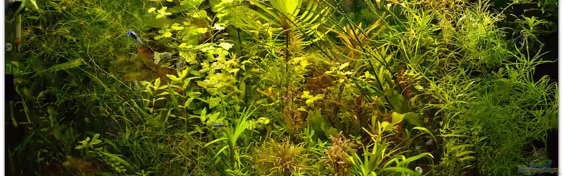 180 Liter Kuddelmuddel von hotwheelz