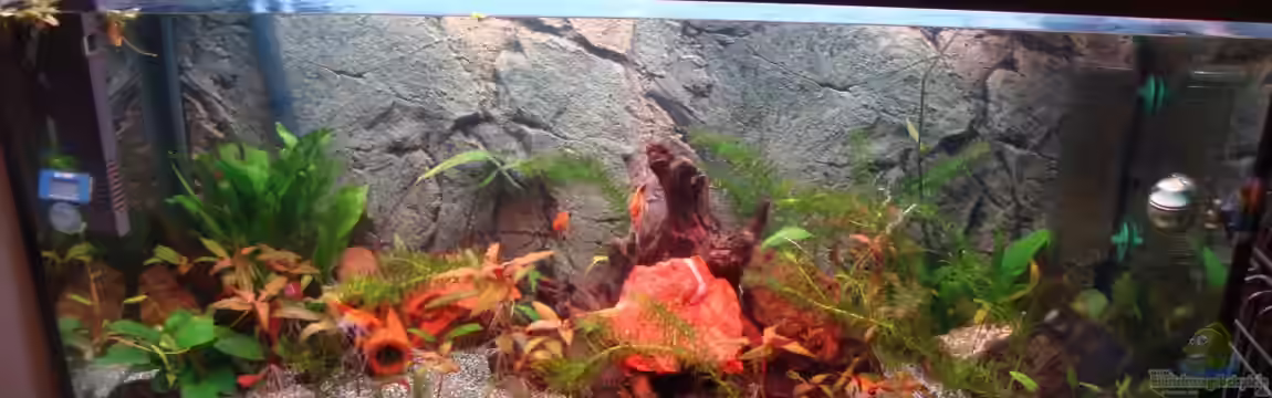 200l Südamerika Traum von Poldi1981