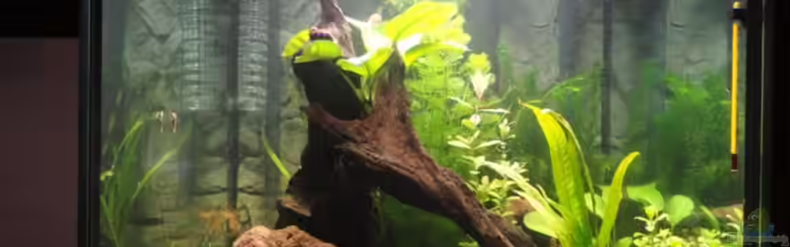 216 Liter Cube von Marc SL