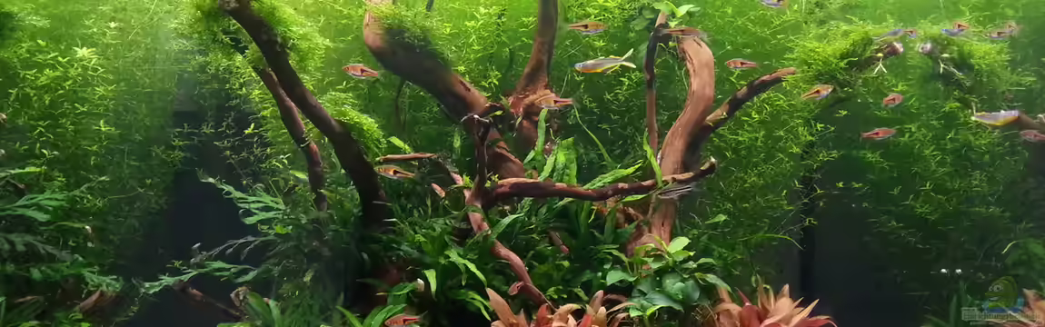 216l cube no name von Enyo