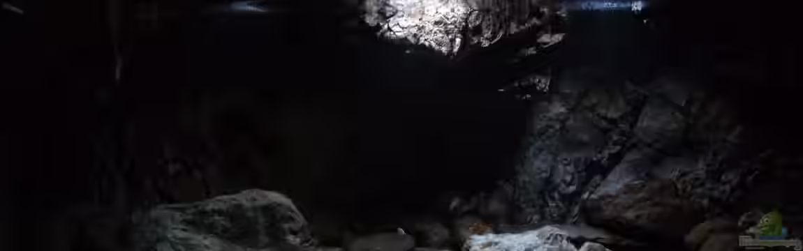 240er Tanganjika von Steffen S.