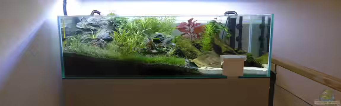 2nd floor von Dreadnought