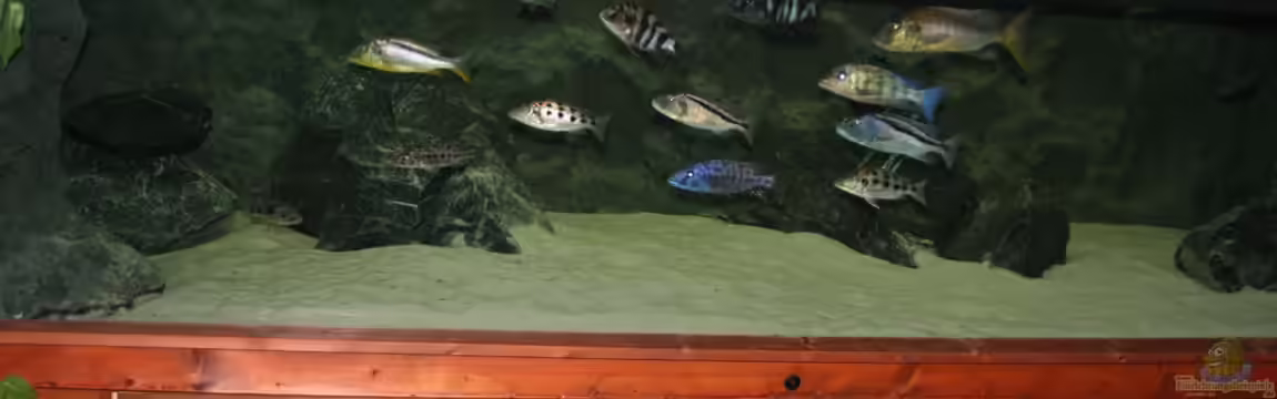 3-2-1-meins von g-dopt