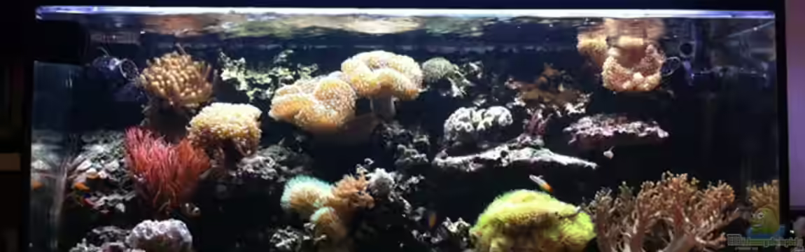 300 Liter von DaHeit1982