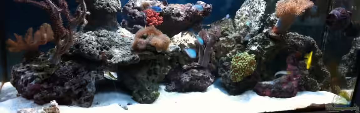 300L44 von Patrick Fisch