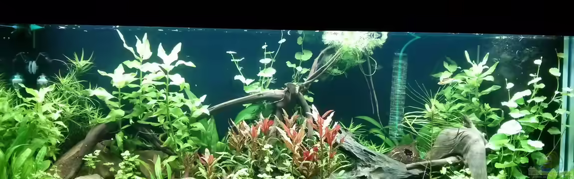 325l Südamerika von Aalfred