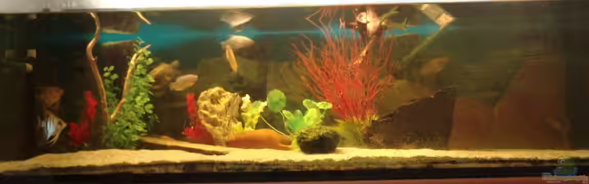 375 L von Philipp XXxX