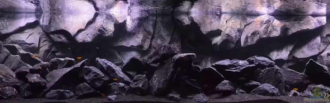 3m Malawisee-Felsenzone von DaKo77