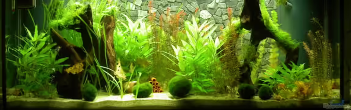 450l Gesellschafts-Pfütze ;) von kajakfreak