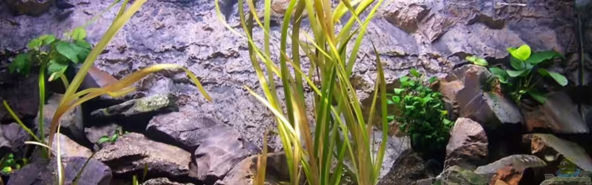 450l Malawi !!!! Existiert nicht mehr !!!! von Maik