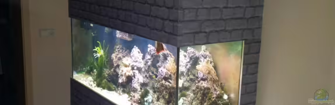 450l Meerwasser von Maik