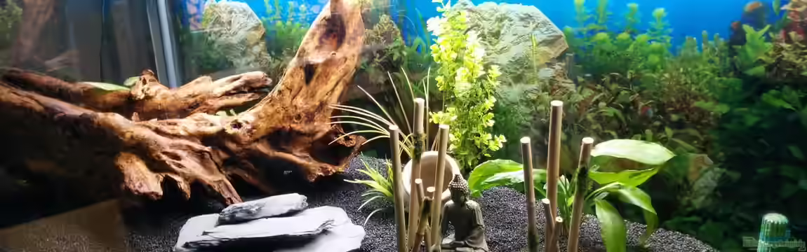 500L Fischeparadies von Didi Don