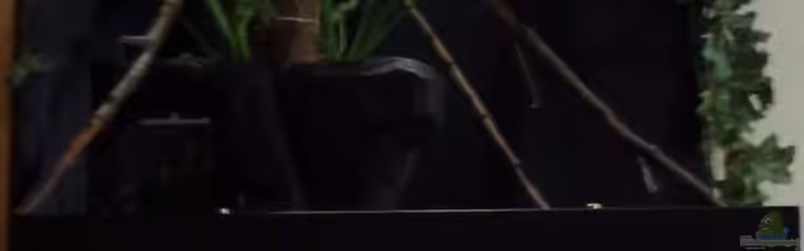 Afrikanische Räuber von Alejandro Fernandez