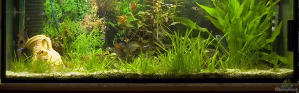 Alex & Steffis Erstesbecken von Alexander Blank