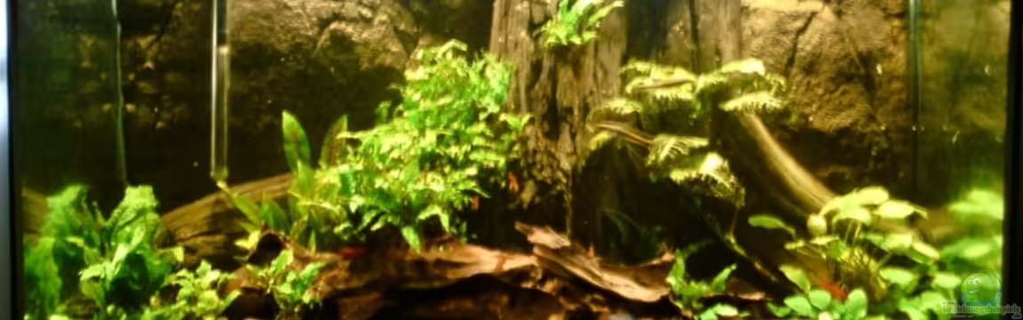 Alles meins von Still