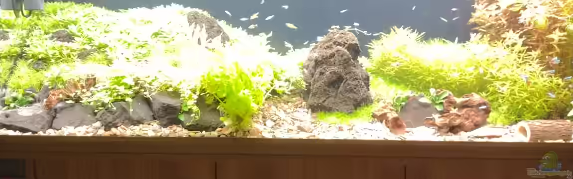 Am Berghang von C-NA