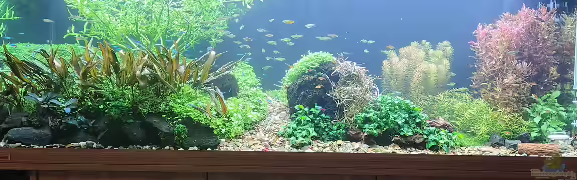 Am Berghang von C-NA