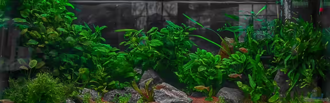 Am Ufer von Burkhard Zager