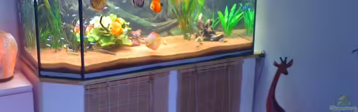 Amazon Wohnen von Dimi Georgomanos