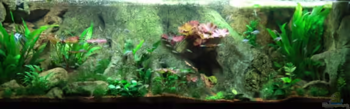 Amazonas Aquarium von D