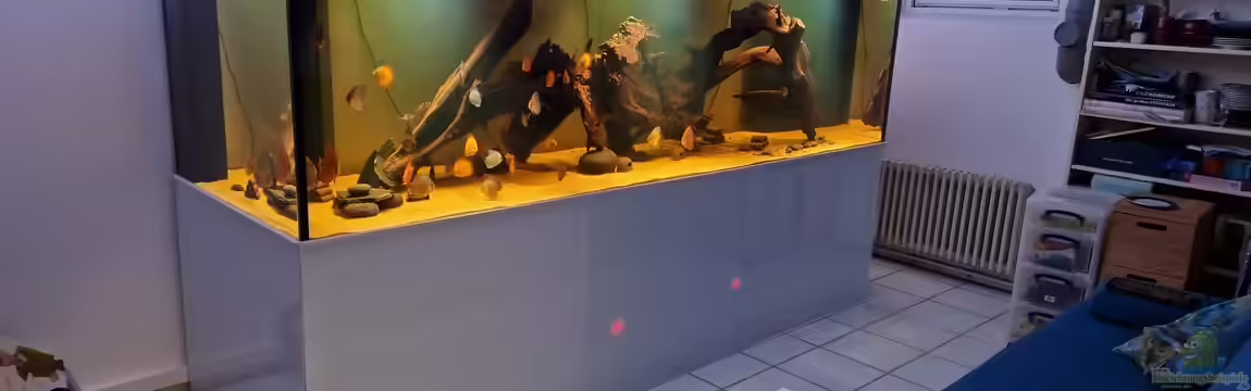 Amazonas im Keller von Stefan_KR