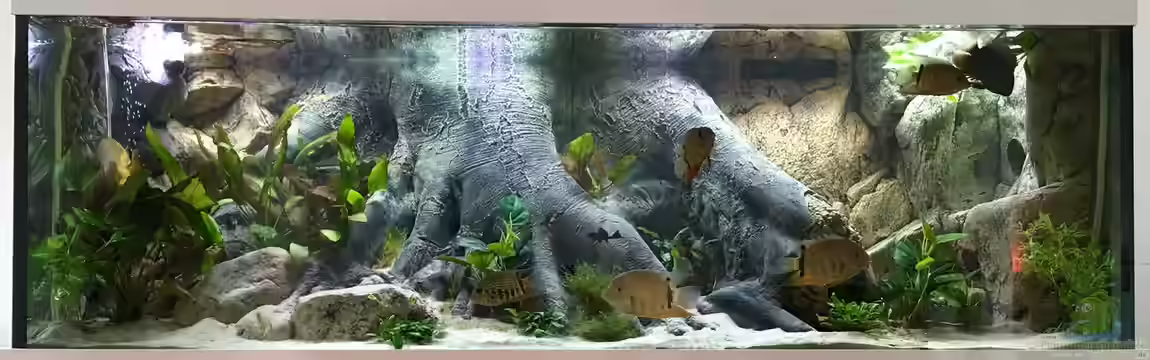 Amazonas Tank von Dobermanfred