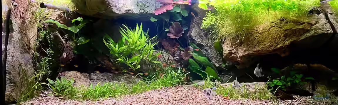 Andrews Dream von André Sidler