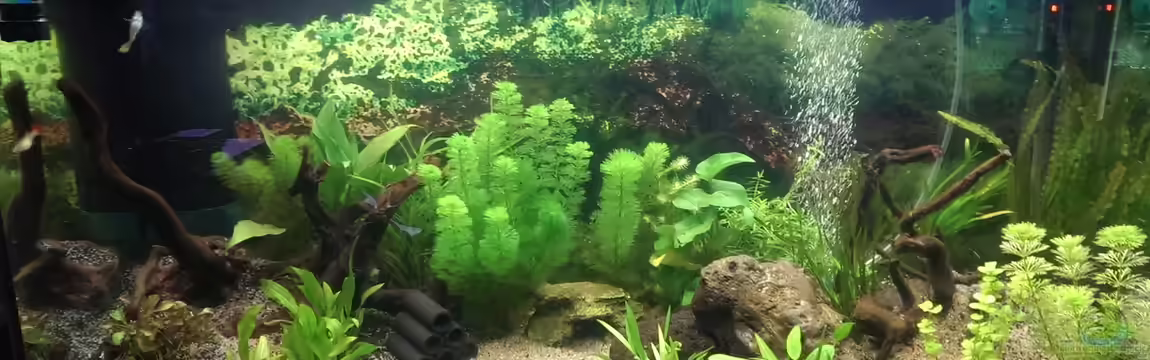 Anfängerbecken von Marcel Ro.