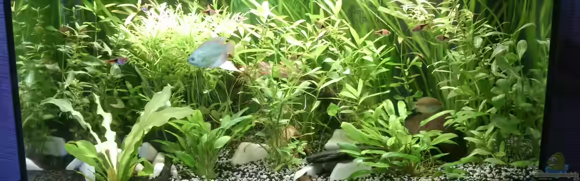 AQ meiner Frau von NonTakt