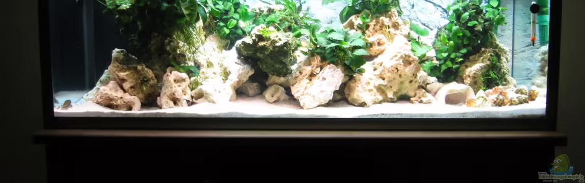 aqua stabil Effect-Line silber von Maik Beckmann