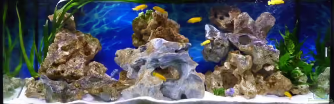 Aqualux von carina_3