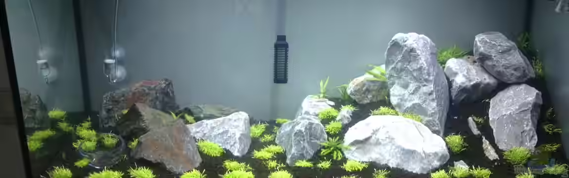 AquaScape Rasen mit Berg von Frederic Schimmeck