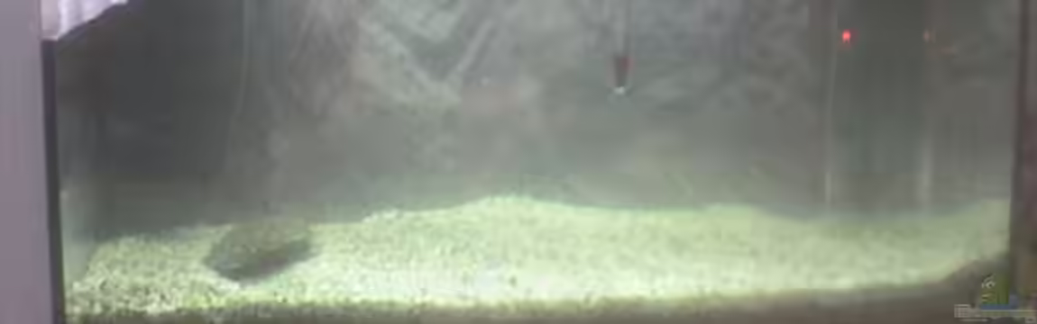 aquastar 60 von Manuel Hupertz