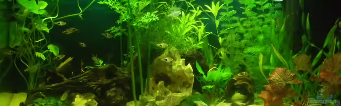 auf Sand gebaut von Martino69