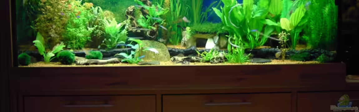 Aufgelöst von Torsten G.