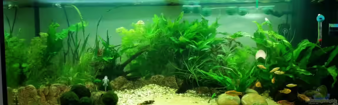 Bachmündung in Hongkong von Alexander987