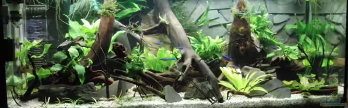 Back to Natur von Make