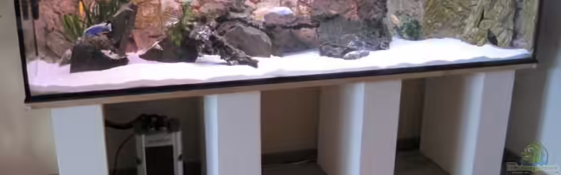 baule`s Non Mbuna 900 ltr. von baule2002