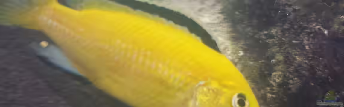 Baustelle 0-8-15 von Flo KA