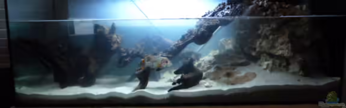 Becken #1 - Florian von Florian Abeln