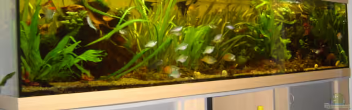 Becken 1 von Bulldog1112