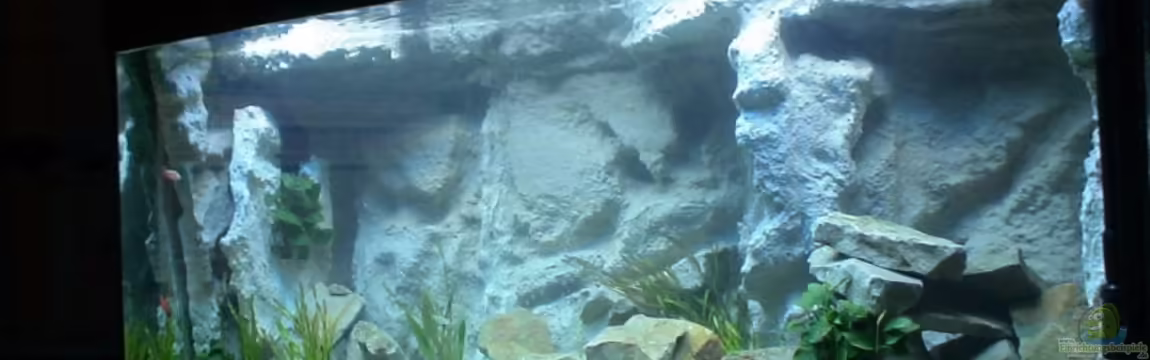 Becken 10047 von Tropicmarin