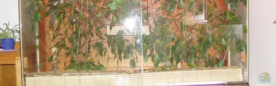 Becken 1006 von Hardy Kullmann