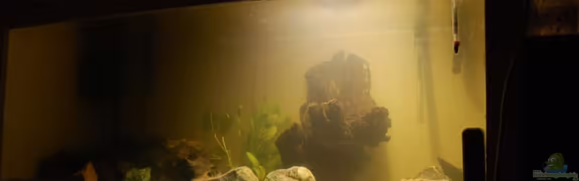 Becken 10070 von der-bastian