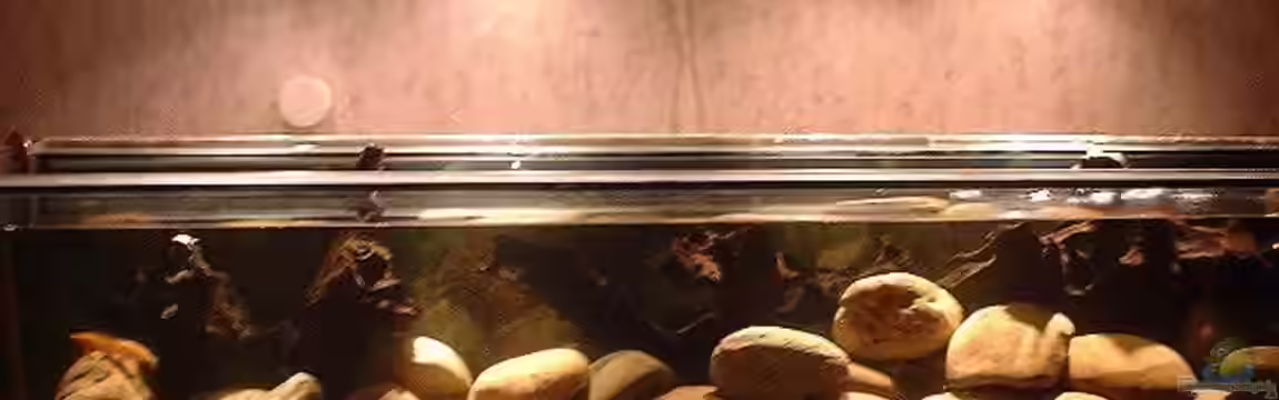 Becken 101 von Christian Woring