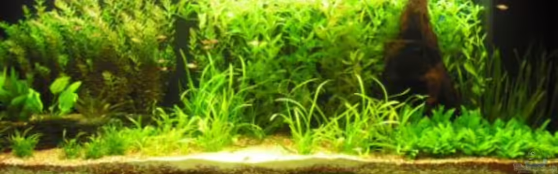 Becken 10108 von Melafux