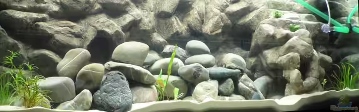 Becken 10109 von Thobi