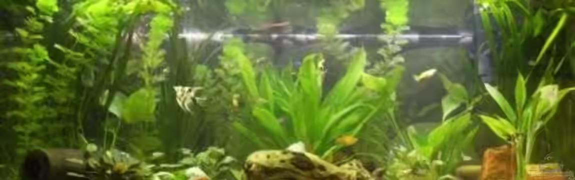 Becken 10120 von Marco K.